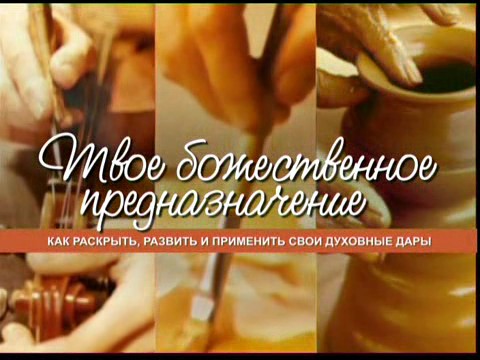 Чип Ингрэм. Твоё божественное предназначение (mp3)