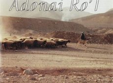 Adonai Ro’l. Альбом Господь — Пастырь мой (2001)