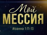 Мой Мессия - Алексей Коломийцев